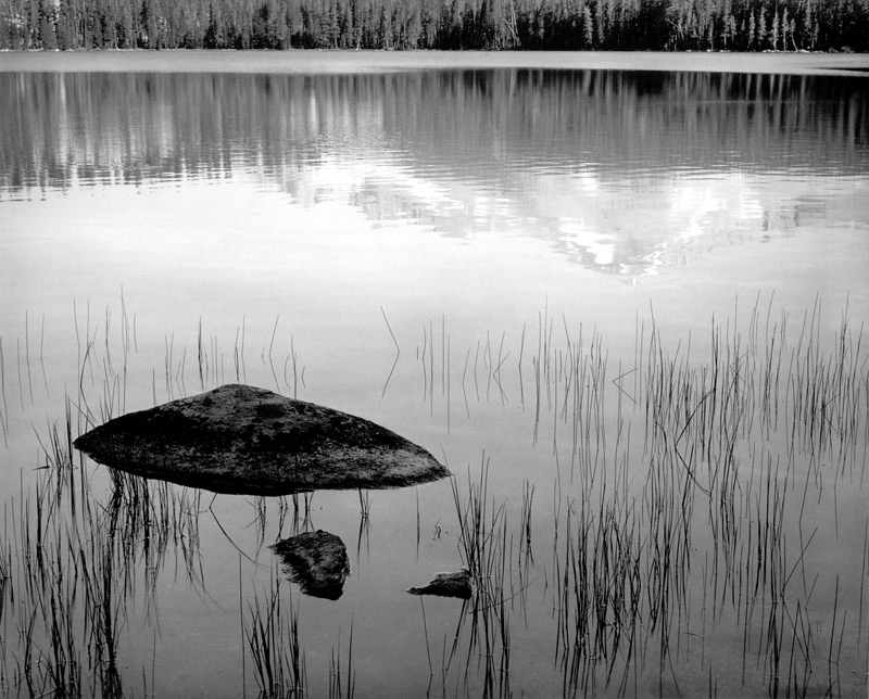 Ансел Адамс (Ansel Adams). Rocks and Grass, Moraine Lake, 1936