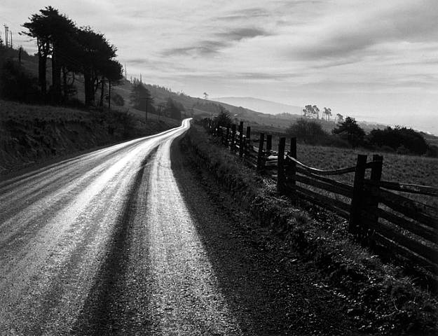 Ансел Адамс (Ansel Adams). Road after Rain, Northern California