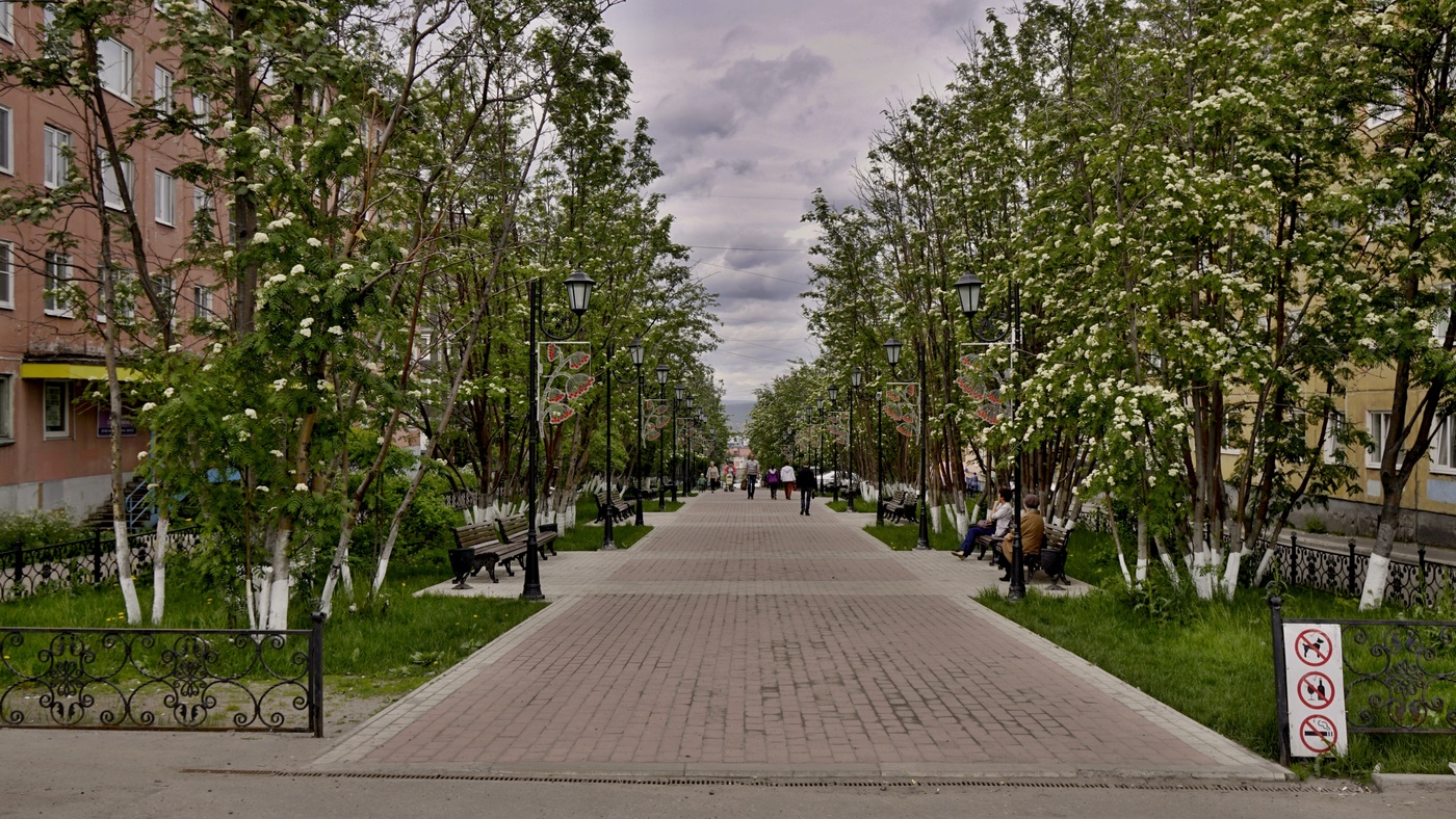 Аптека На Полярной Улице