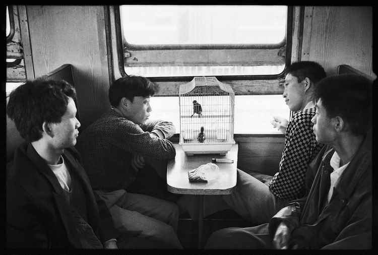 1308 Ван Фучунь: Фотосерия Китайцы в поезде