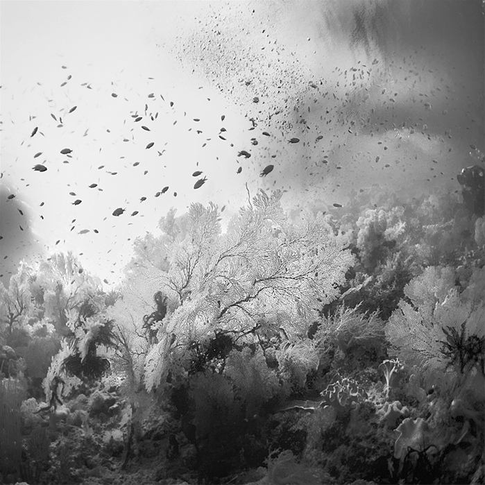 bandw14 Поэзия черно белой фотографии в работах Хенгки Коентжоро