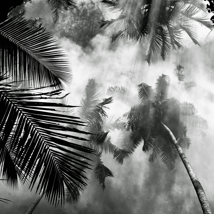 bandw19 Поэзия черно белой фотографии в работах Хенгки Коентжоро