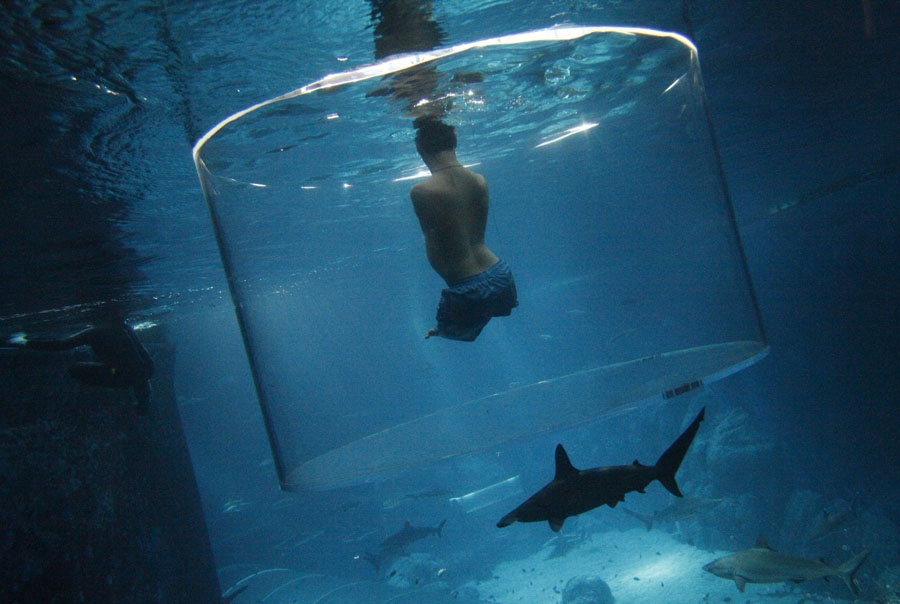 5 сентября. 30-летний Ник Вуйчич, родившийся без всех четырех конечностей, плавает с акулами в океанариуме Сингапура.