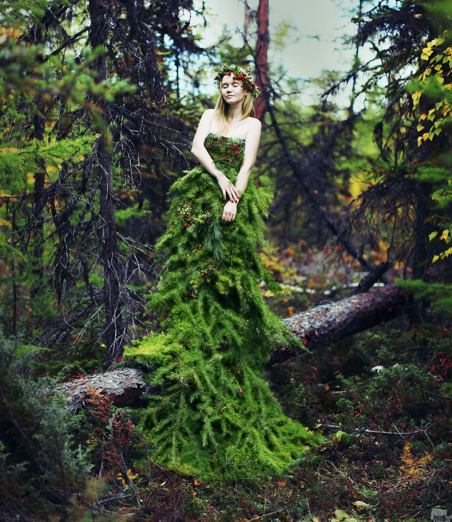 Лесные красавицы фото. Девушка в лесу. Девушка в еловом лесу. Фото в лесу девушек. Лесная девушка.