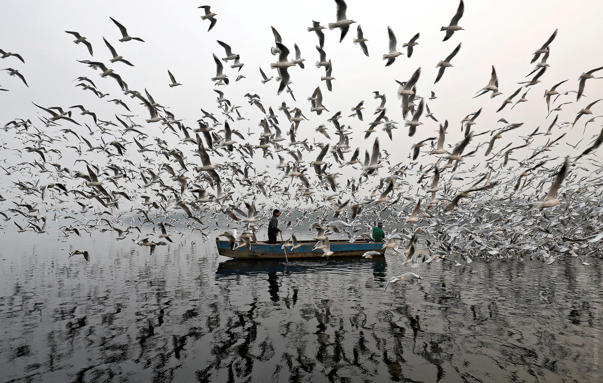 Фото: Reuters