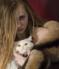 гламурный кот, который не хотел фотографироваться / модель Аня