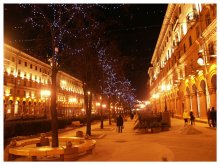 Starlit night / ***