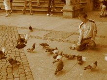 Кормящий голубей... / город Гданьск 2005