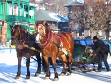 кулігі / накрыўшыся коўдрай, чуць звон званочкаў