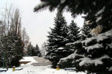 Зимний пейзаж / ***