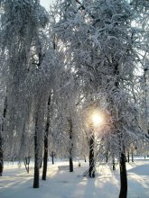 Зимний парк / Новогрудок. Февраль 2006