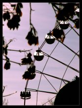 - носики - / ***