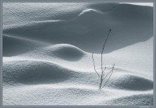 The texture of a winter (О снежных Дюнах) / ***