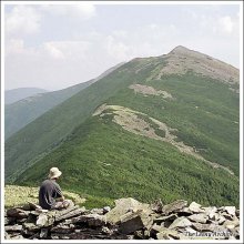Антоша и Карпаты. / ***