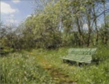 Лавка / имитация софт объектива