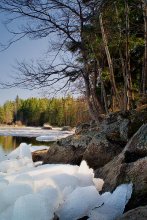 Последнее убежище зимы / ***