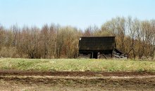 Дзясятнікі / ***