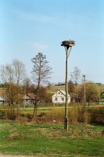 Крэва / ***