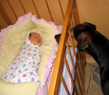 Ты откуда взялась? / ***