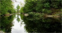 шэпат безназоўнай ручаіны.. / недзе ў нетрах Мускокі