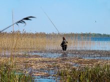&quot;Ну, головастики, держитесь!&quot; / Май... Рыбалка разрешена только с берега. А он...
