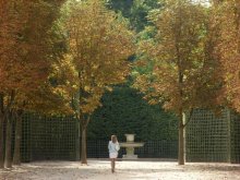 осень в саду / Франция, Версальский сад