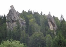 Клыки природы / В Карпатах