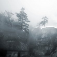 Про туман / Карпаты