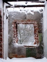 Окно в другую жизнь / лошицкий парк
