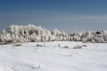 Зиманяя сказка в Лепеле / Один единственный день этой зимой подарил такую красоту.