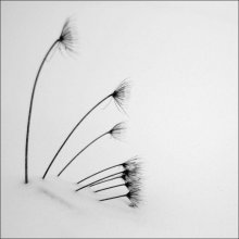 Invierno / зиме - конец