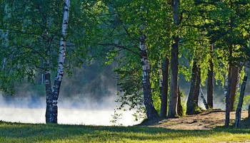 У озера...... / Петербург-Юкки. Июнь