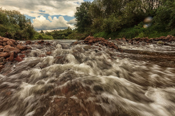 Жизнь вокруг / Описание
