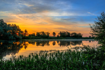 На озере Малое Нечаево. / Летний рассвет. Мещера, юго-восток Московской области.