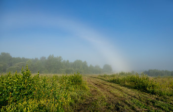 Туманная радуга / https://curious-world.ru/priroda/prirodnye-yavleniya/item/243-tumannaya-raduga