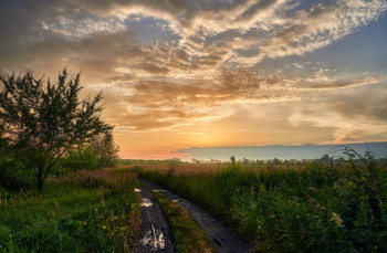Одно июльское утро / Лето 2021