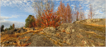 Летнее утро. / Горный парк Сортавала. На скалах почвы практически нет. Длительная засуха сожгла листья прямо на ветвях. Осень наступила в середине лета.