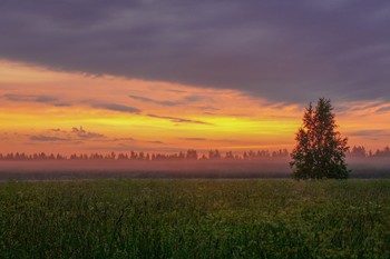 Золотой час / Кингисепп