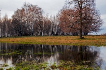 Весенний разлив / п.Красницкий,Татарстан,Зеленодольский р-он