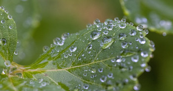 После дождя / г.Мурманск