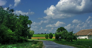 Ах лето / Поле дорога деревья небо облака