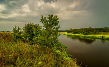 Начало Августа на Клязьме / 07 августа 2021 года. Восточное Подмосковье, река Клязьма возле города Дрезна