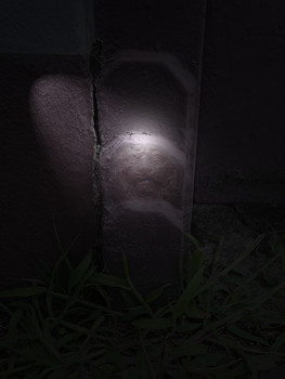 &nbsp; / Auf dem Weg