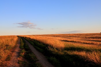 Дорога / Зарайские окрестности