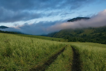 Утро в горах. / Горный Алтай.