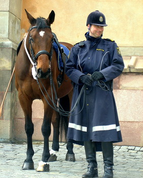 Конная полиция / Конная полиция в Стокгольме