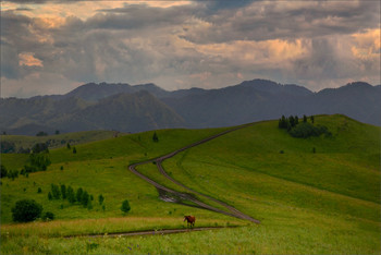 На просторах Сибири / неожиданные картины открывались по дорогам Алтая