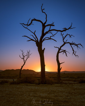 Танцы на закате / Пустыня Намиб