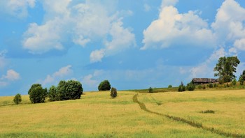 Косогор ... / Деревенский этюд ...