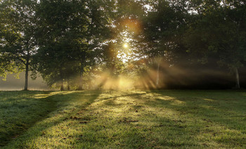 Солнечно / в туманной дымке